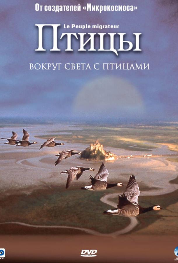 Птицы (2002)